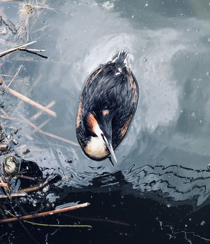 Photograph by Ксения Гулькова