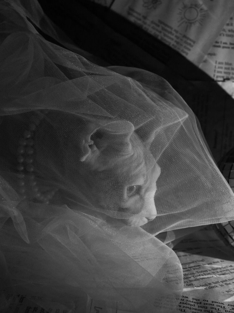 Photograph by Светлана Петренко