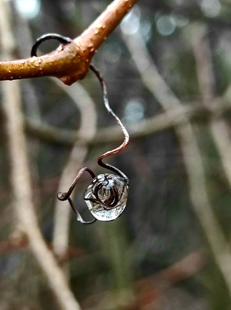 Photograph by Татьяна Солтан