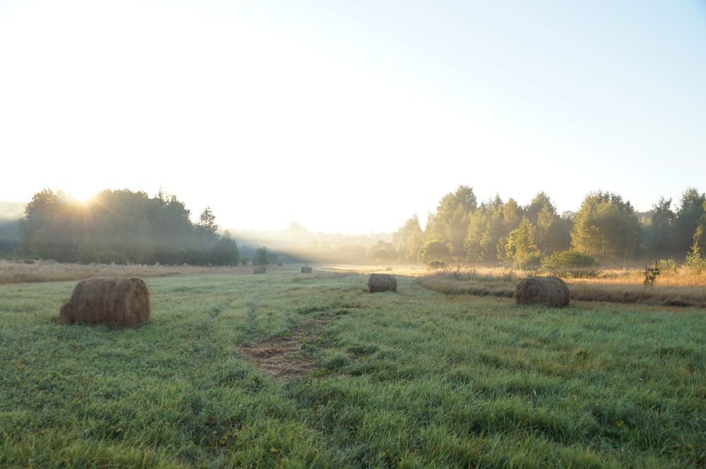 Photograph by Елена Лаптева