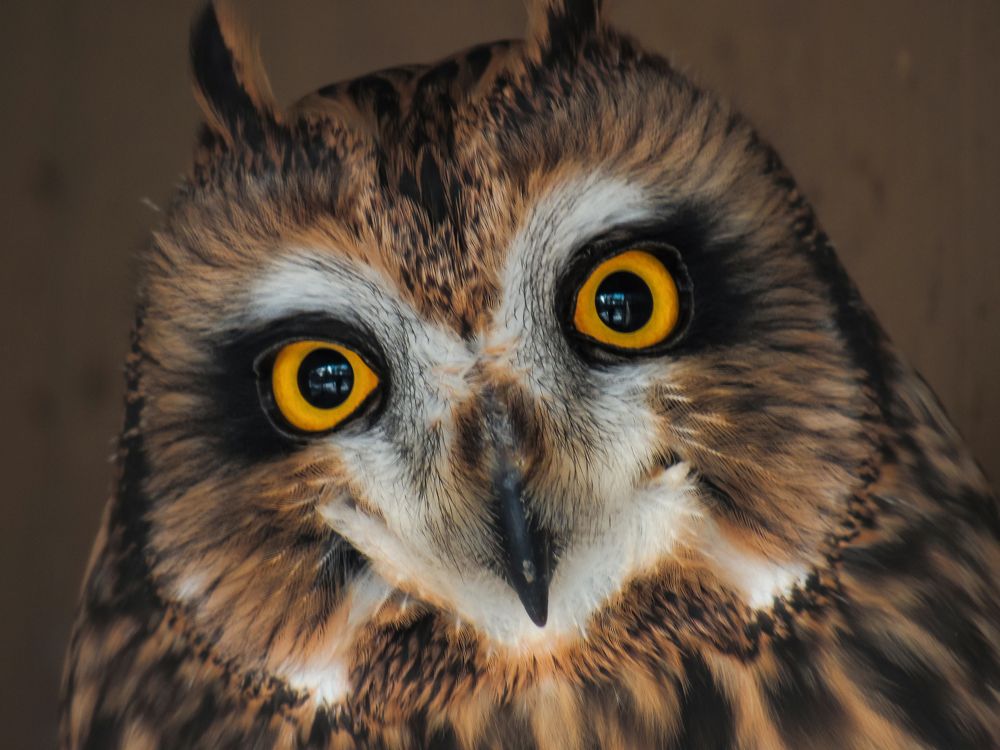 Photograph by Виктор Карпухин