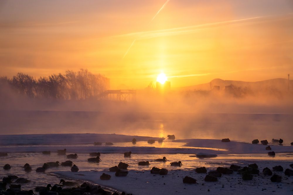 Photograph by Александр Пургин