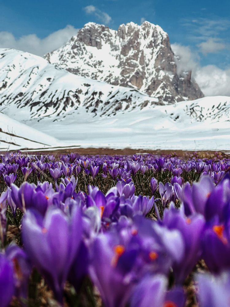 Photograph by Hannah