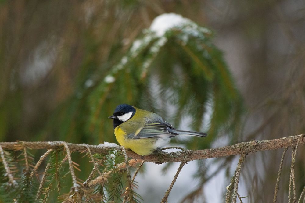 Photograph by Илья Кулаков