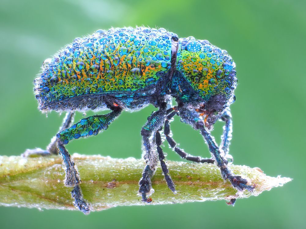 Photograph by Chen-You Li