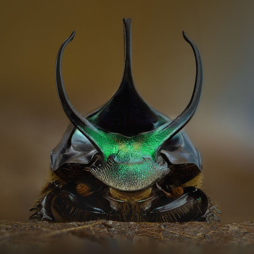 Photograph by Eugenijus Kavaliauskas