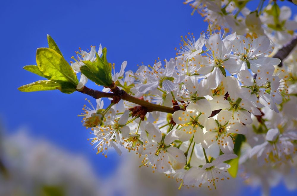 Photograph by Наталья Иванова