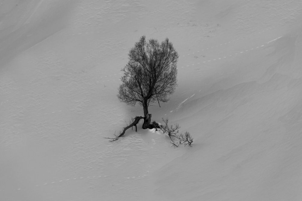 Photograph by Golshid Balaghi Bakhshayesh