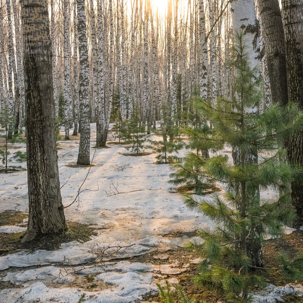 Photograph by Андрей Чернышов