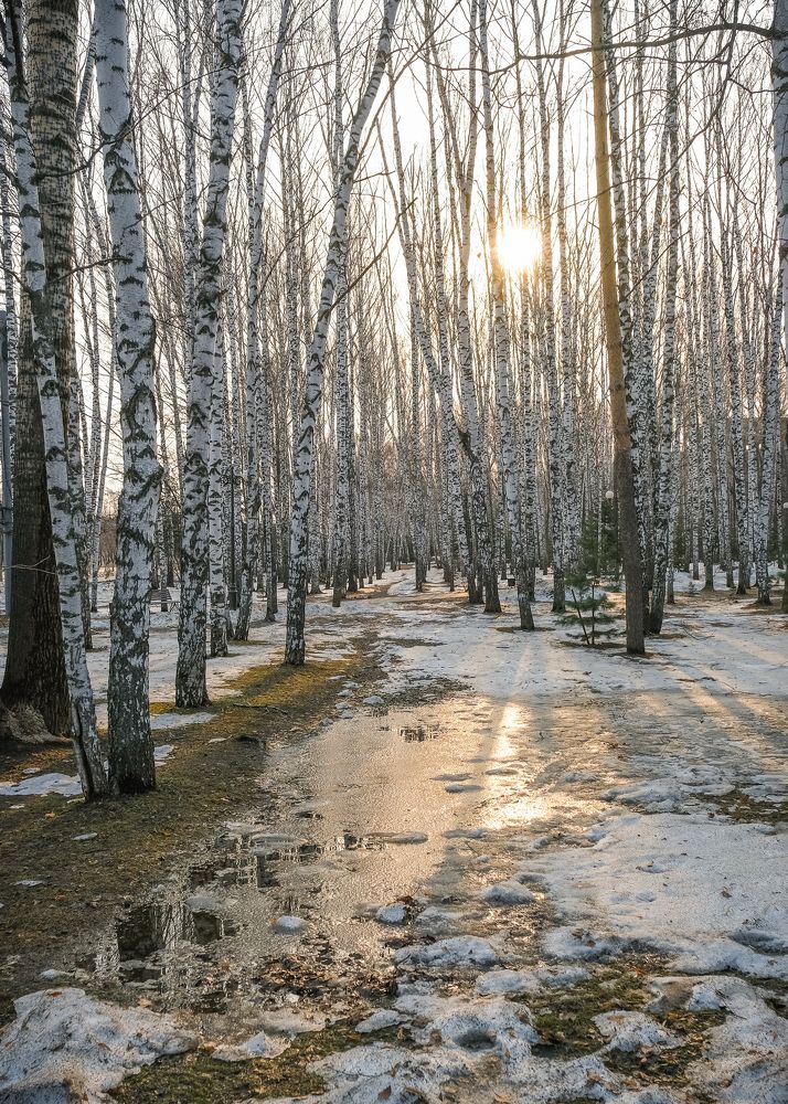 Photograph by Андрей Чернышов