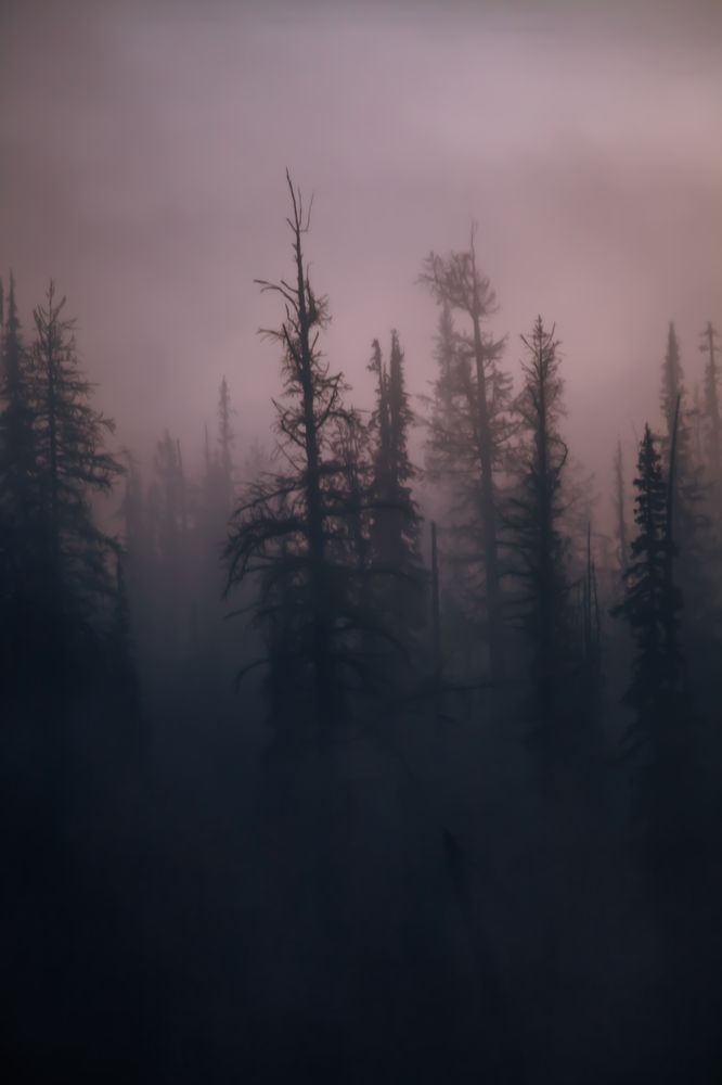 Photograph by Ксения Никифорова