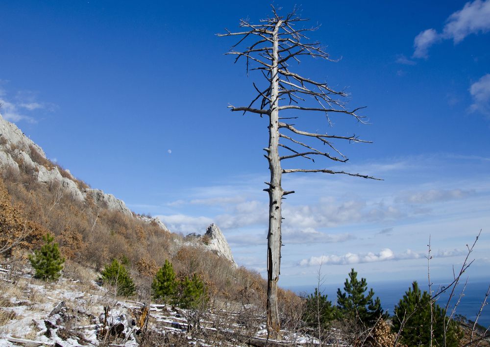 Photograph by Юрий Юрченко