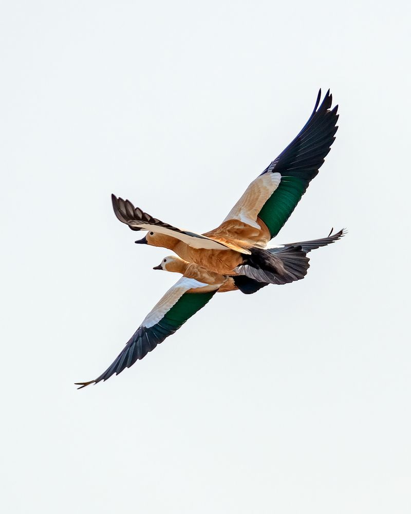 Photograph by Sourav Ganguli