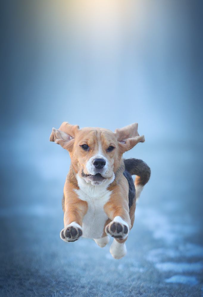 Фотография автора Katerina Mumzhinskaya