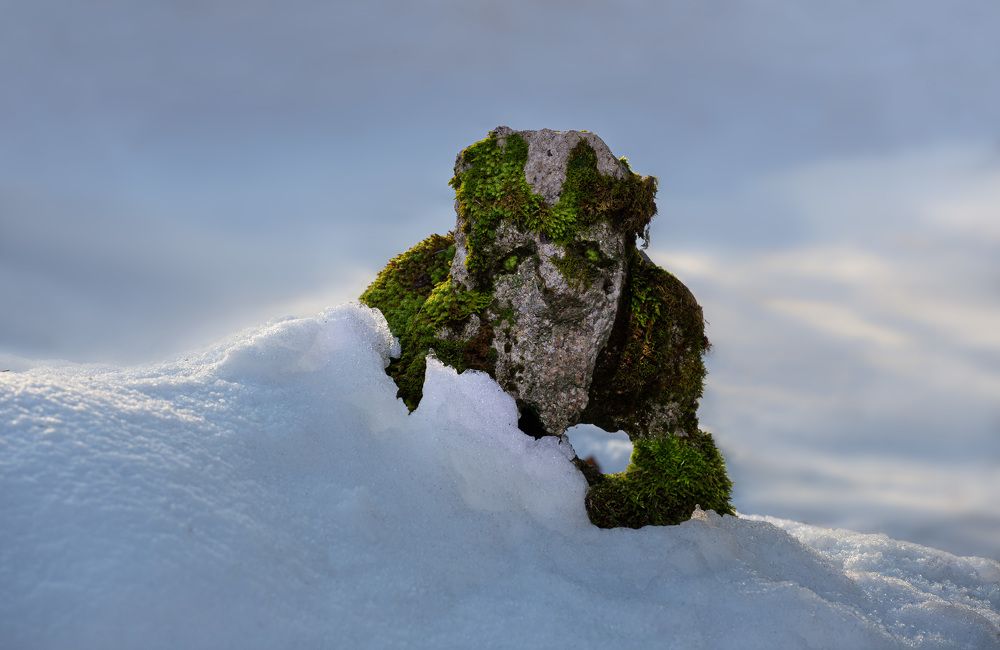 Фотография автора Черновол Валентин