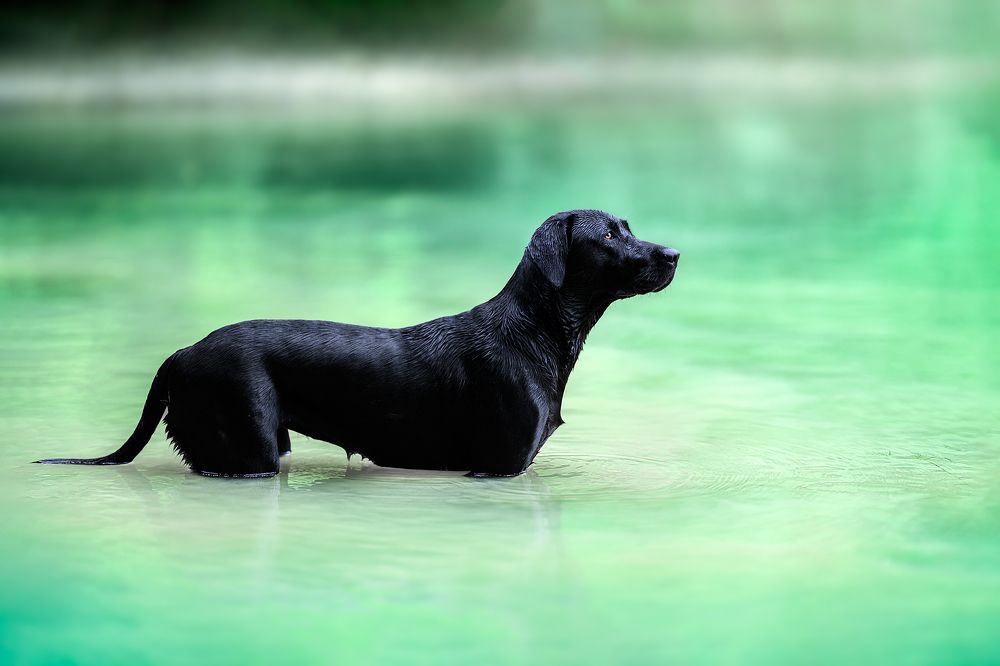 Photograph by Laetitia Delval