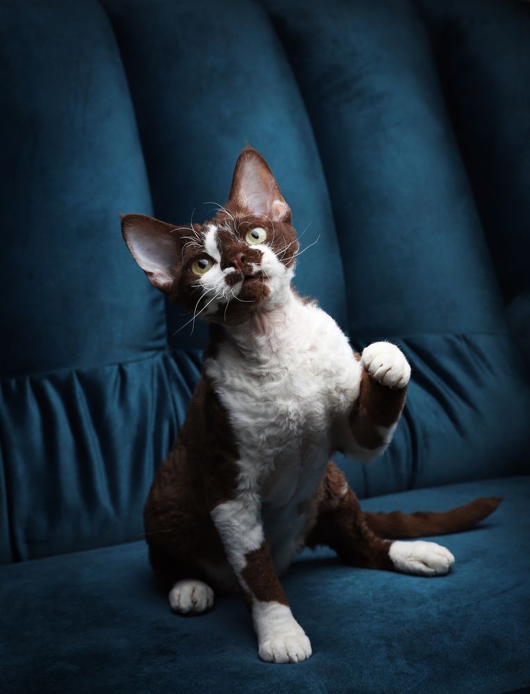 Фотография автора Katerina Mumzhinskaya