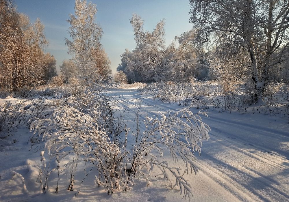 Photograph by Александр Попов