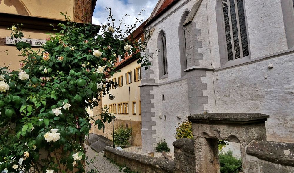 Photograph by backareva irina