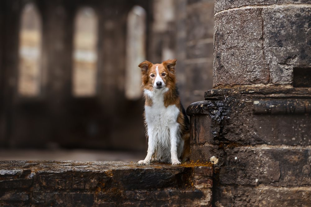 Photograph by Laetitia Delval