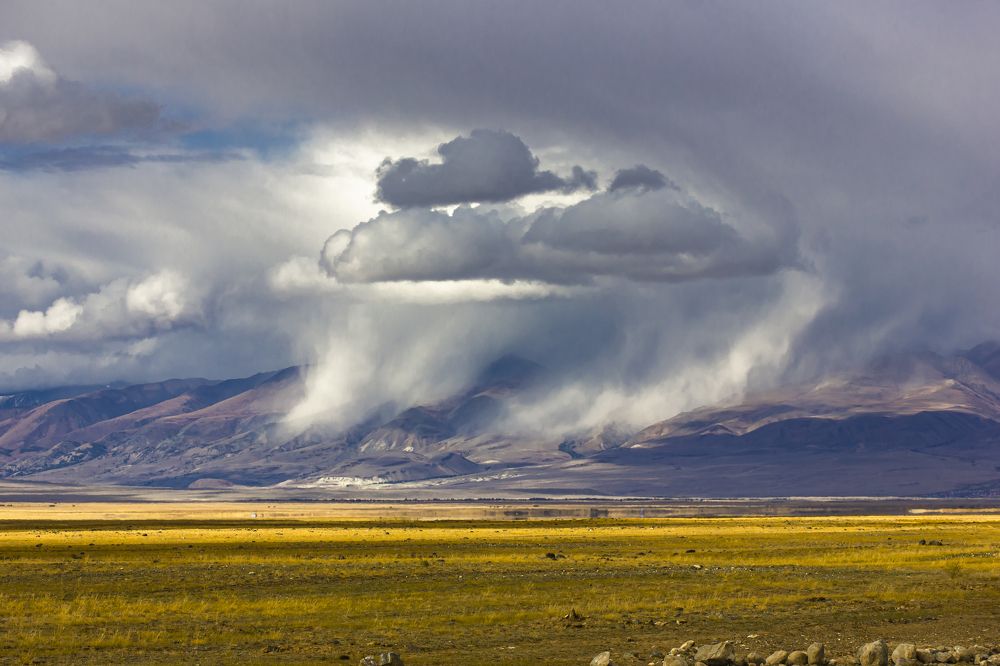 Photograph by Елена Павлова