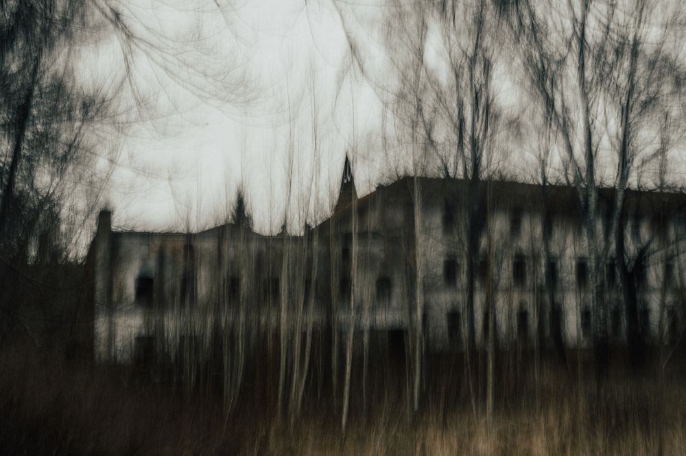 Photograph by Ludmila Stepnova