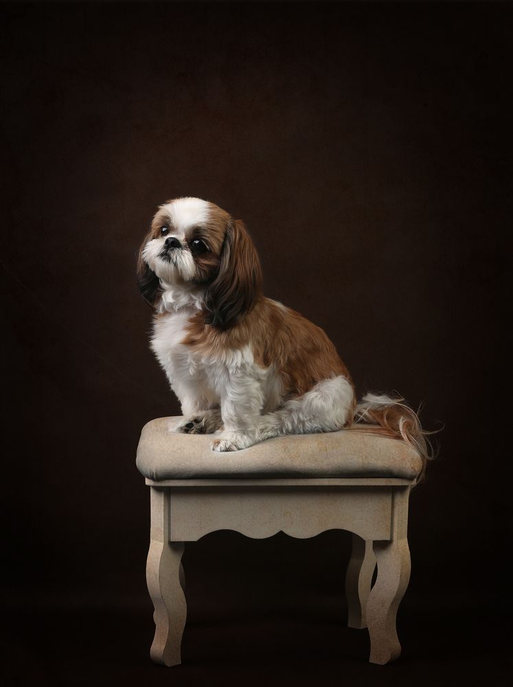 Фотография автора Katerina Mumzhinskaya