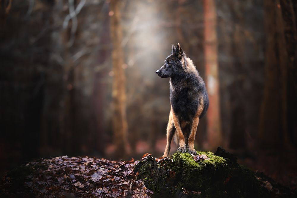 Photograph by Laetitia Delval