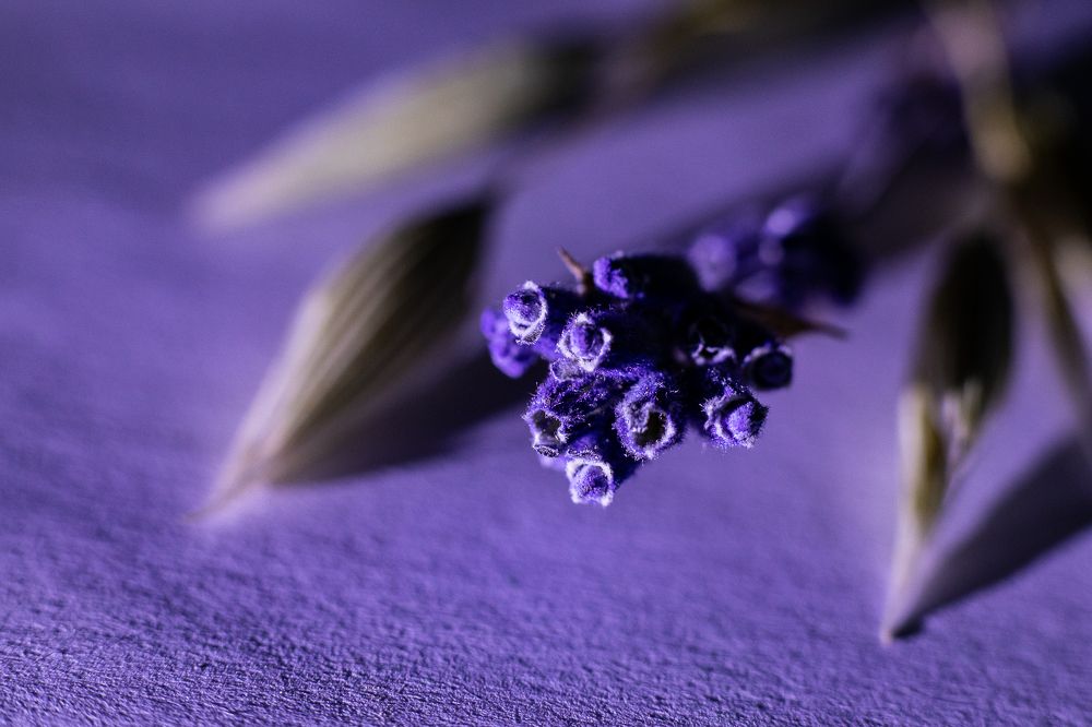 Photograph by Ирина Саломатина