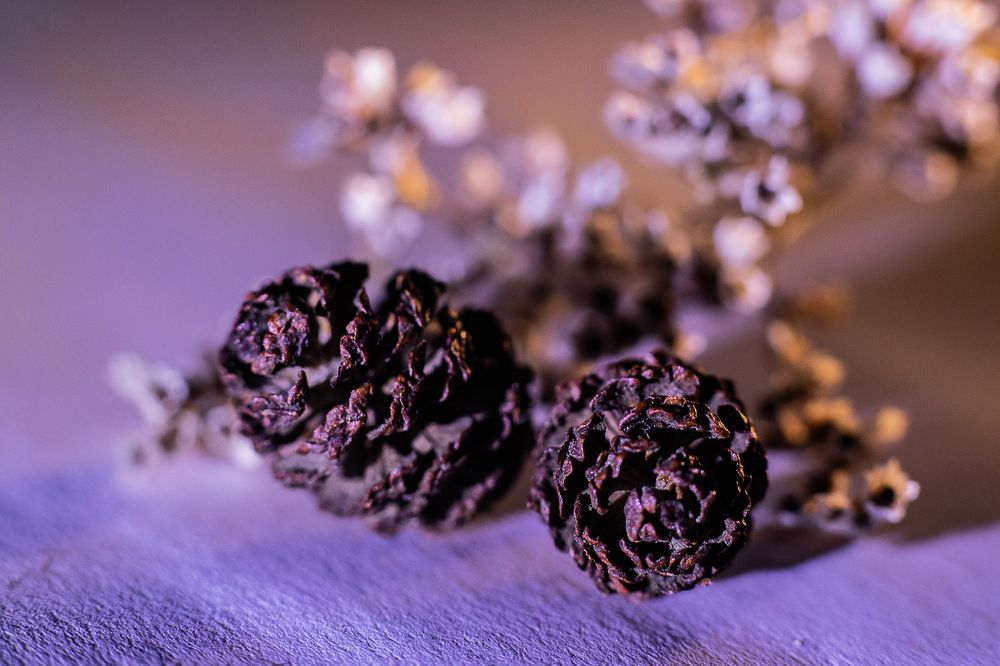 Photograph by Ирина Саломатина
