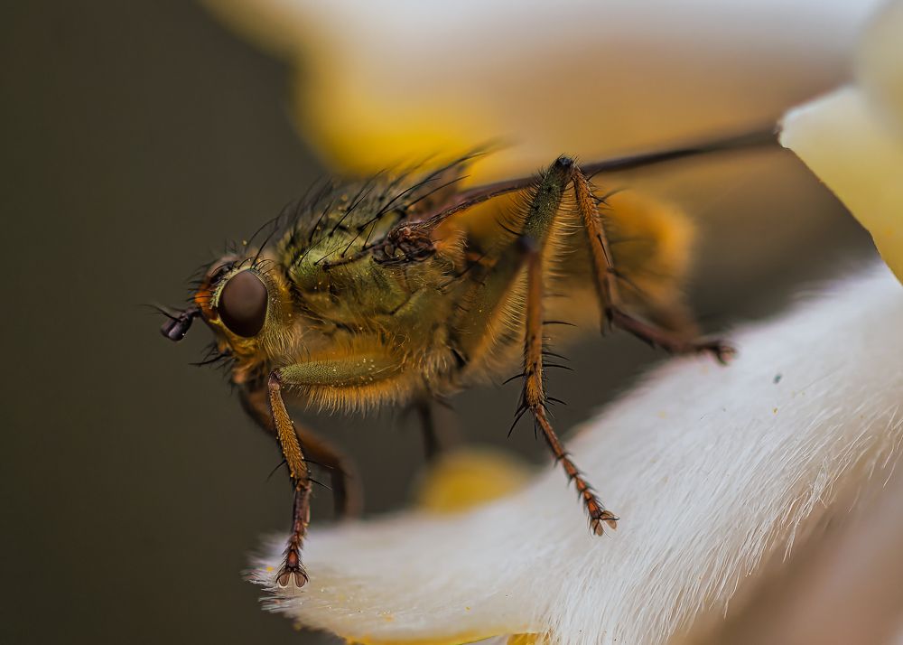 Photograph by Wendy Vanhoudt