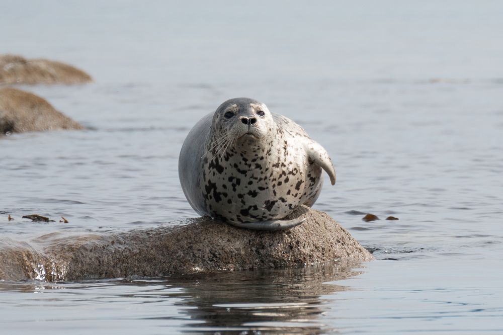Photograph by Андрей Гусаров