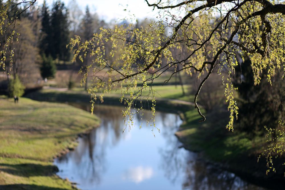 Фотография автора Ирина Муравьева