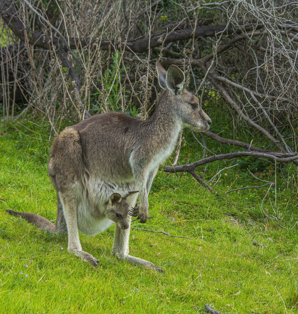Photograph by Зоя Куренкова