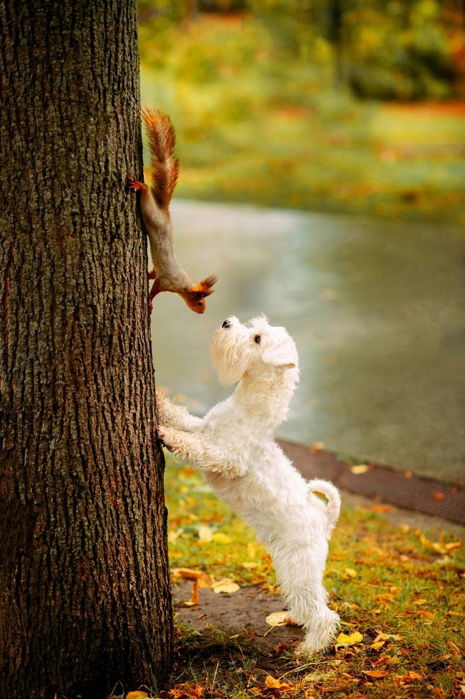 Photograph by Оксана Бондаренко