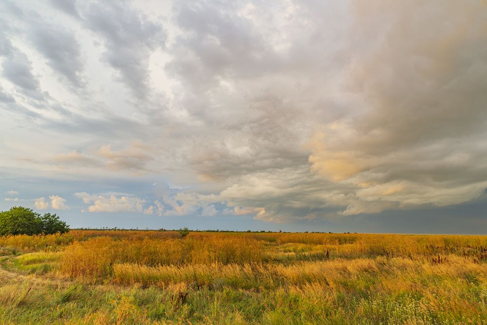 Photograph by Эдуард Шадров