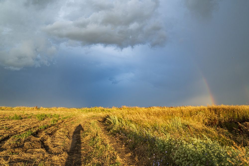 Photograph by Эдуард Шадров