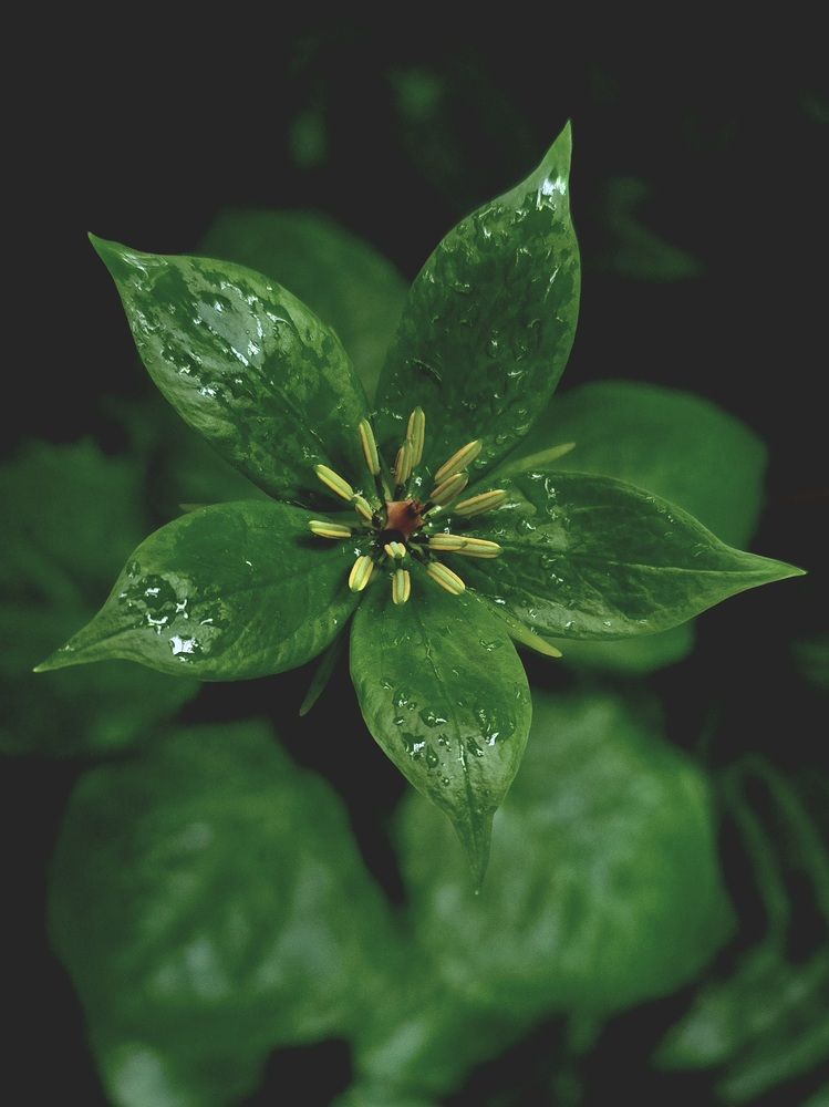 Photograph by Анна