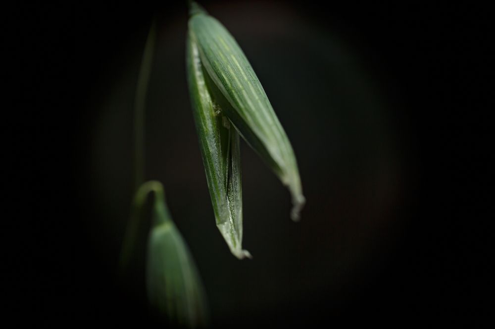 Photograph by Максим Покрышкин