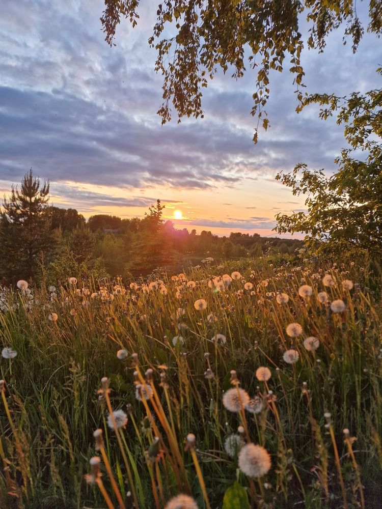 Photograph by Кристина Тарутина