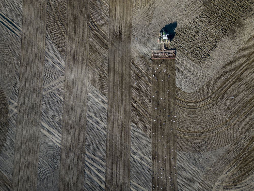 Photograph by Linda Persson