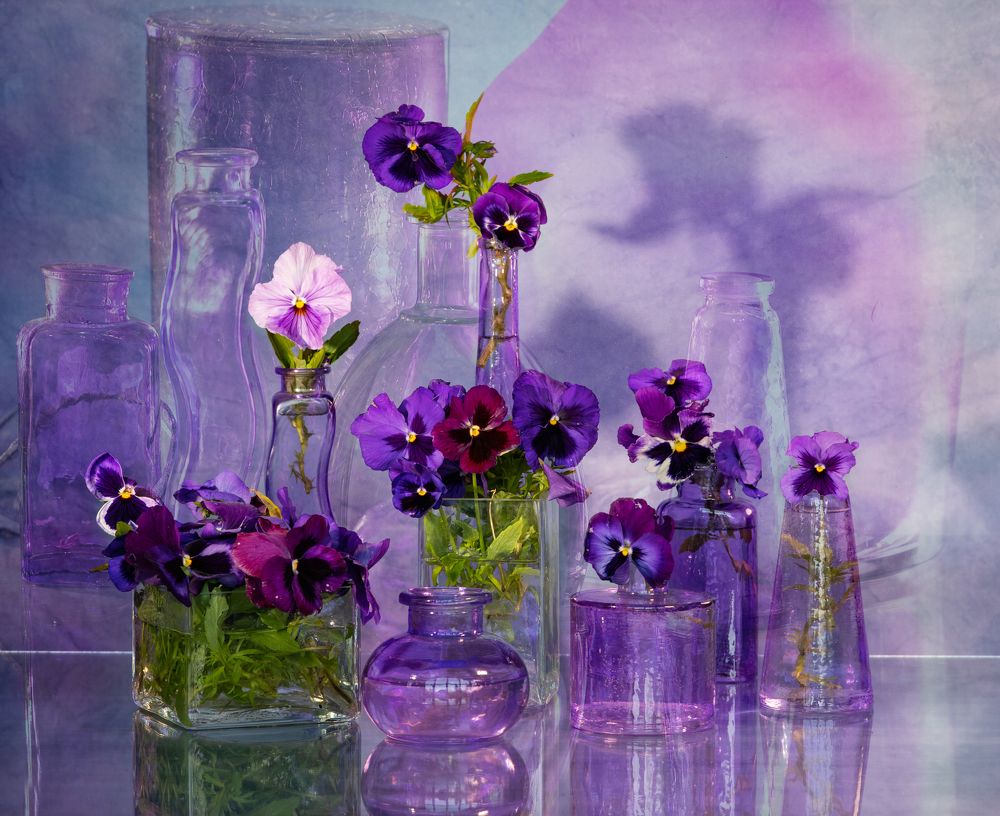 Photograph by NADEZHDA PELYMSKAIA