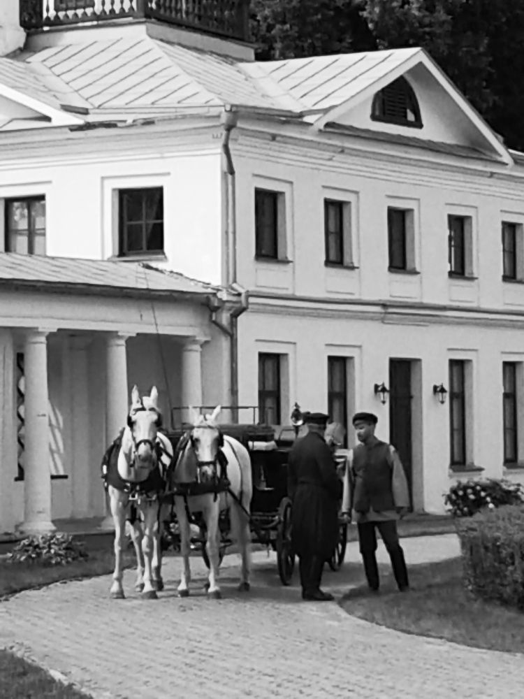 Photograph by Елена Короткова