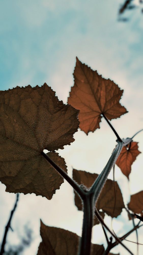 Photograph by amir mohammad manzouri