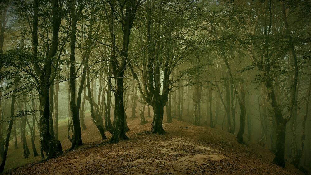 Photograph by amir mohammad manzouri