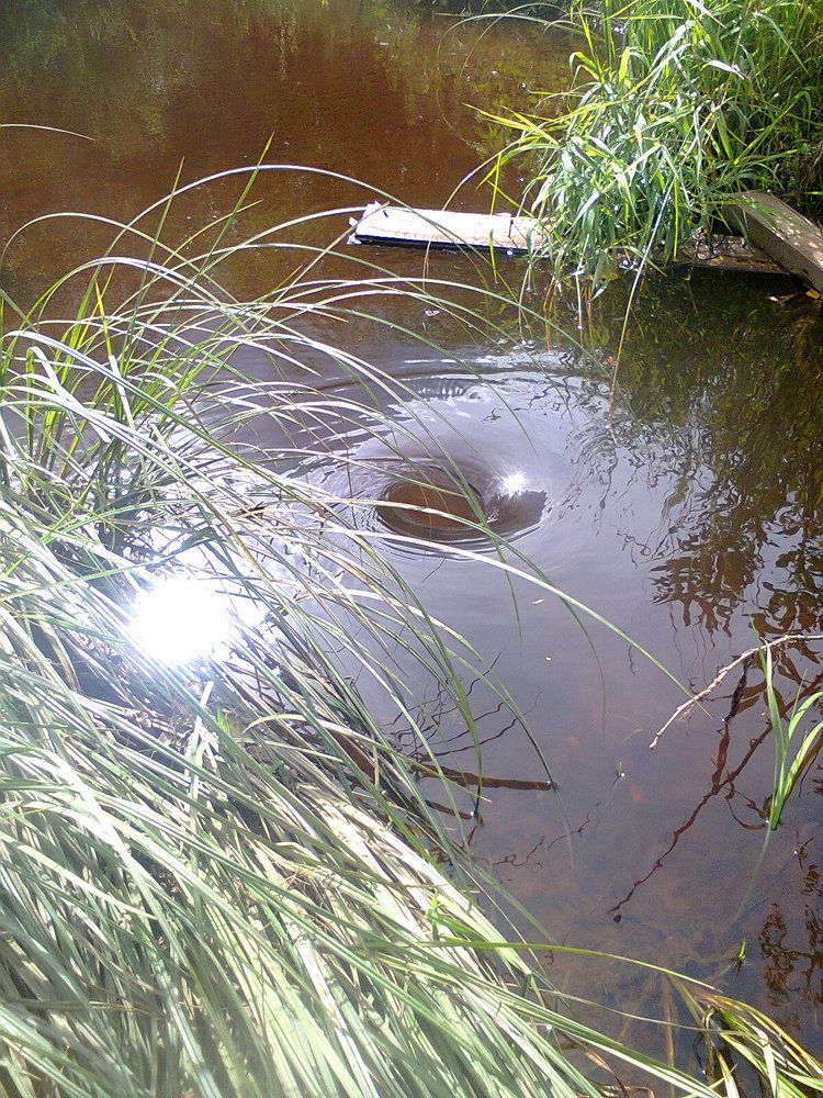 Фотография автора Михаил Смирнов