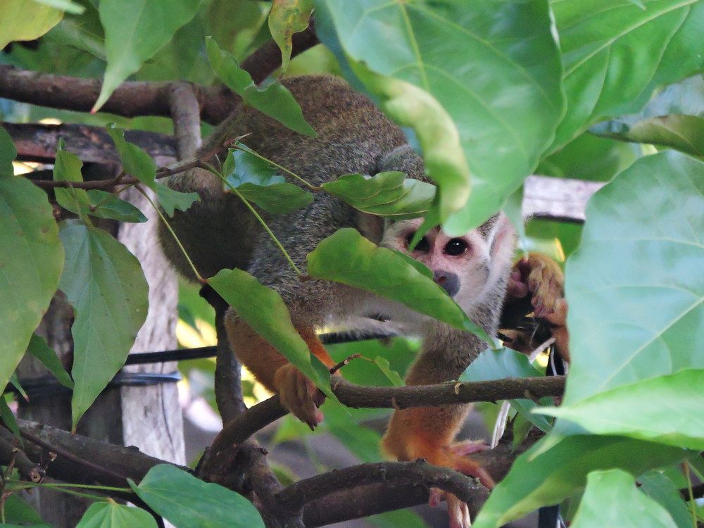 Photograph by Rodrigues Helena