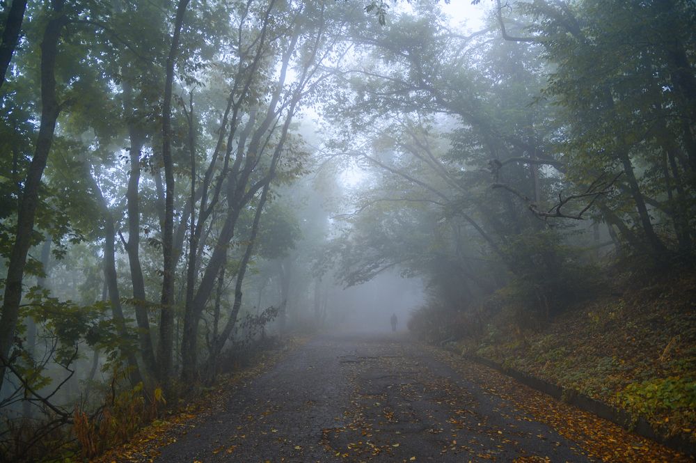 Photograph by Александр Макушин