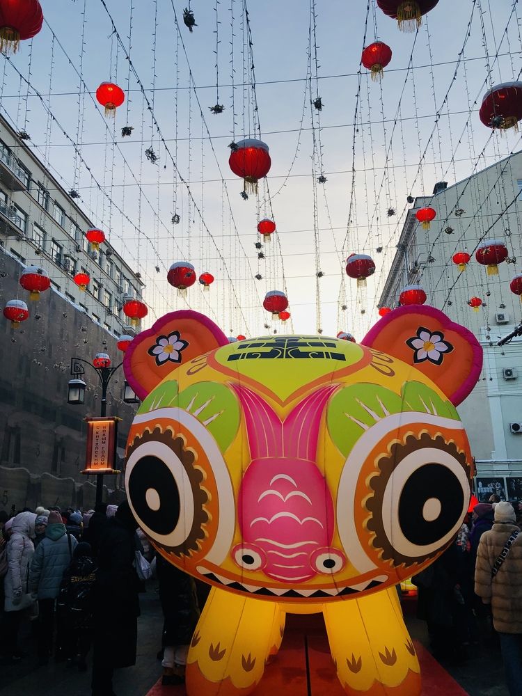 Фотография автора Литвинова Ольга