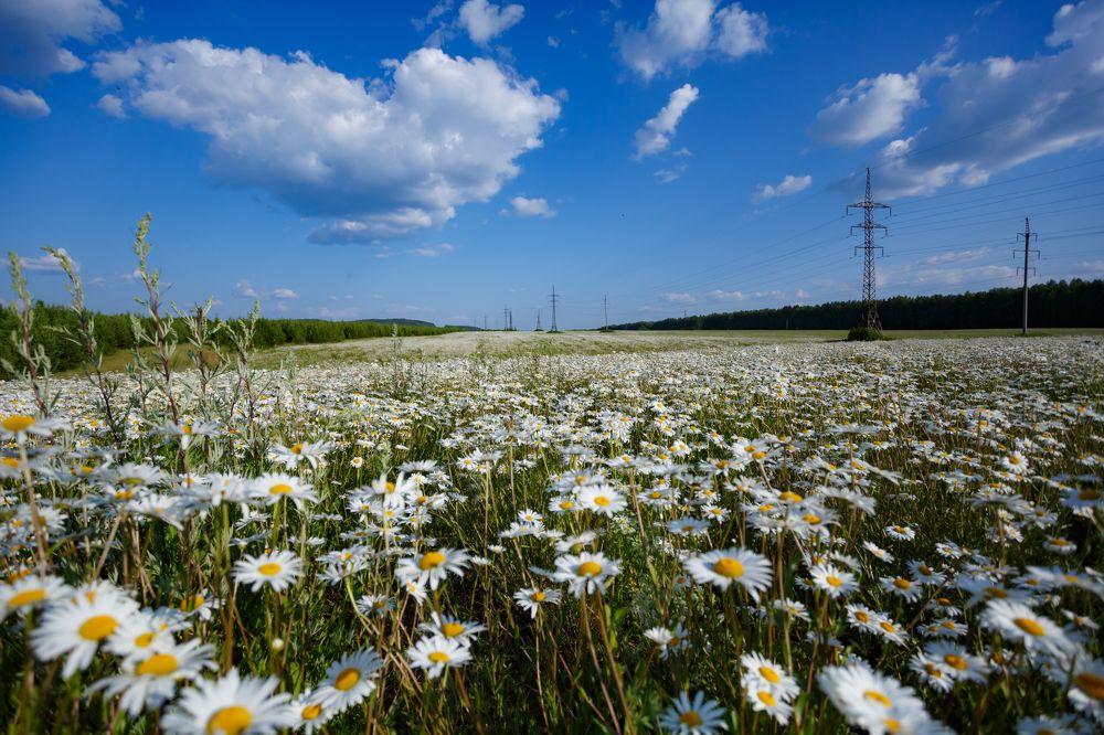 Photograph by Максим Покрышкин